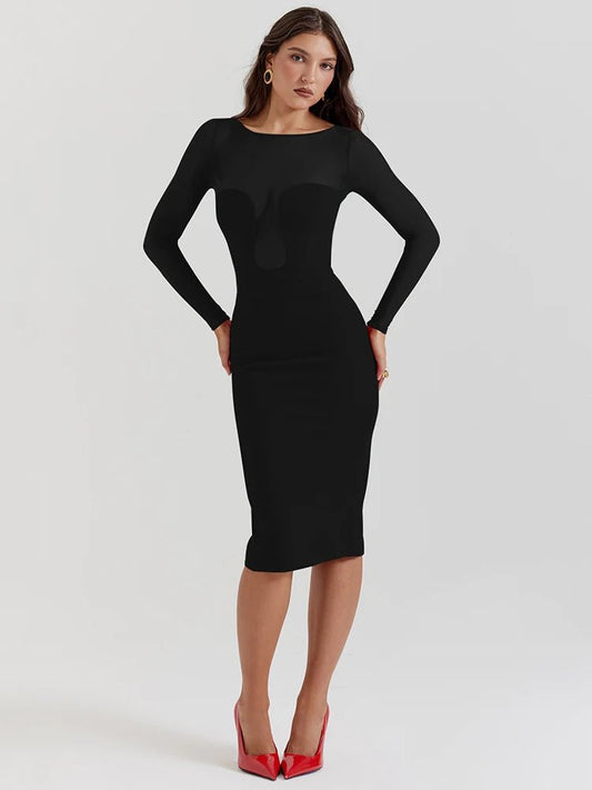 Black bodycon midi dress with an O neckline, sheer long sleeves, slight stretch, and an invisible zipper closure.